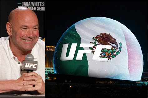 dana white mexico.